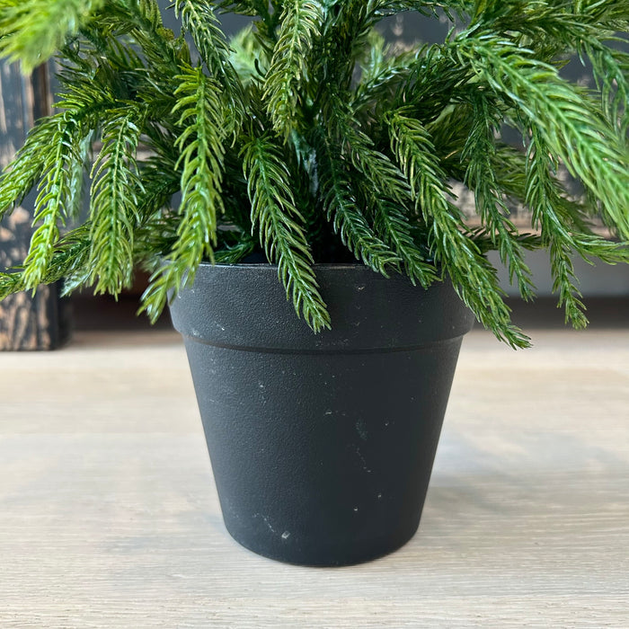 Real Touch Norfolk Pine Tree | 28"