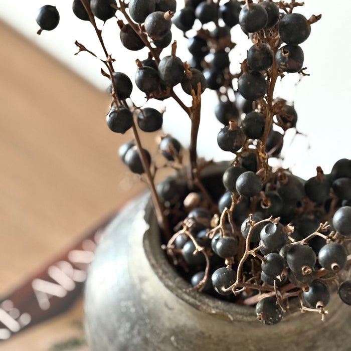 Black Berry Branches