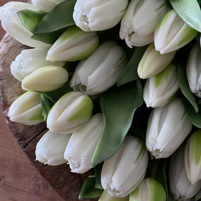 Fresh Touch Tulip Bundle