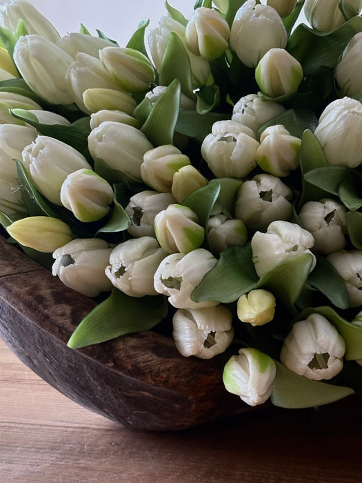 Fresh Touch Tulip Bundle