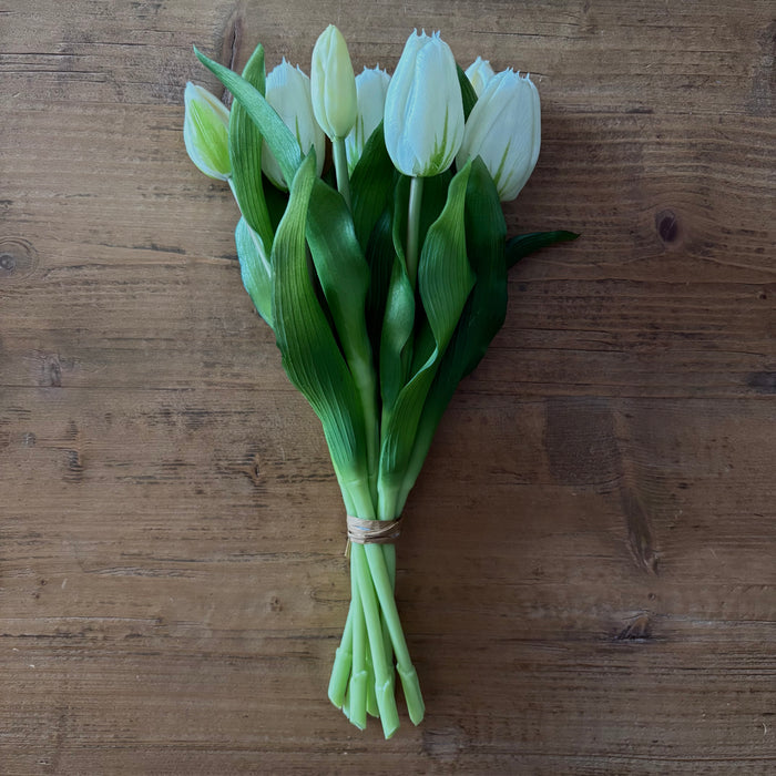 Fresh Touch Tulip Bundle