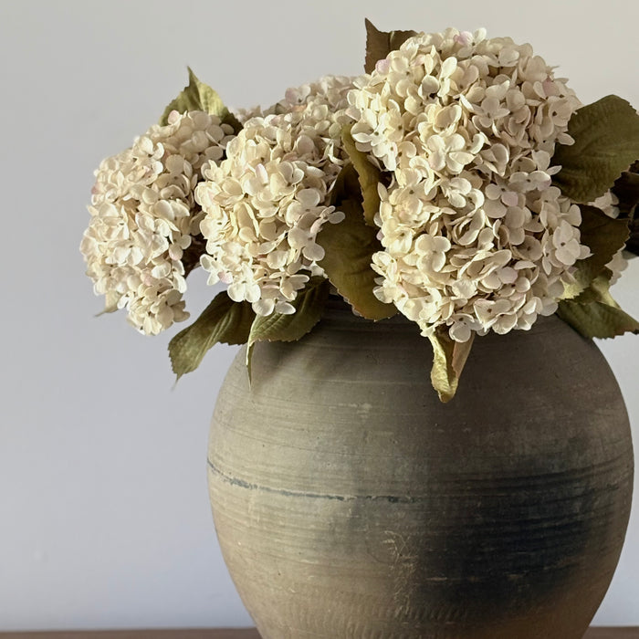 Heirloom Hydrangea Stem