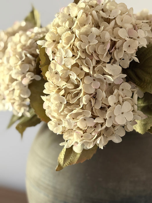 Heirloom Hydrangea Stem
