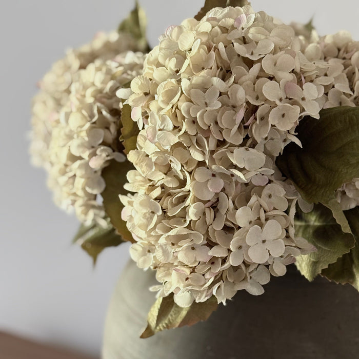 Heirloom Hydrangea Stem