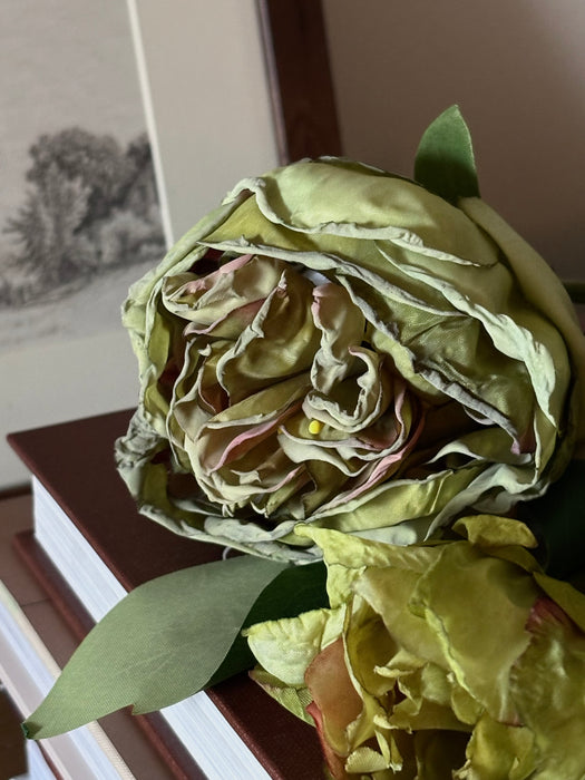 PRE ORDER Dried British Peony Stem