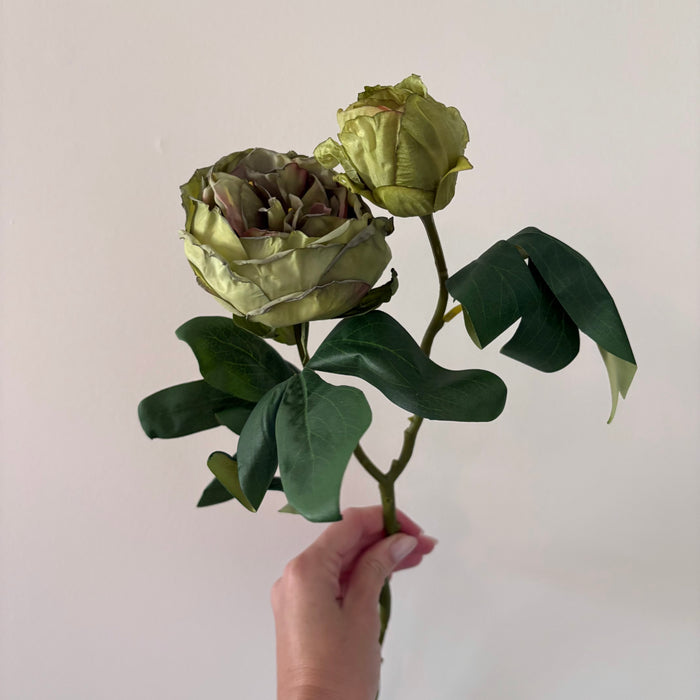 PRE ORDER Dried British Peony Stem