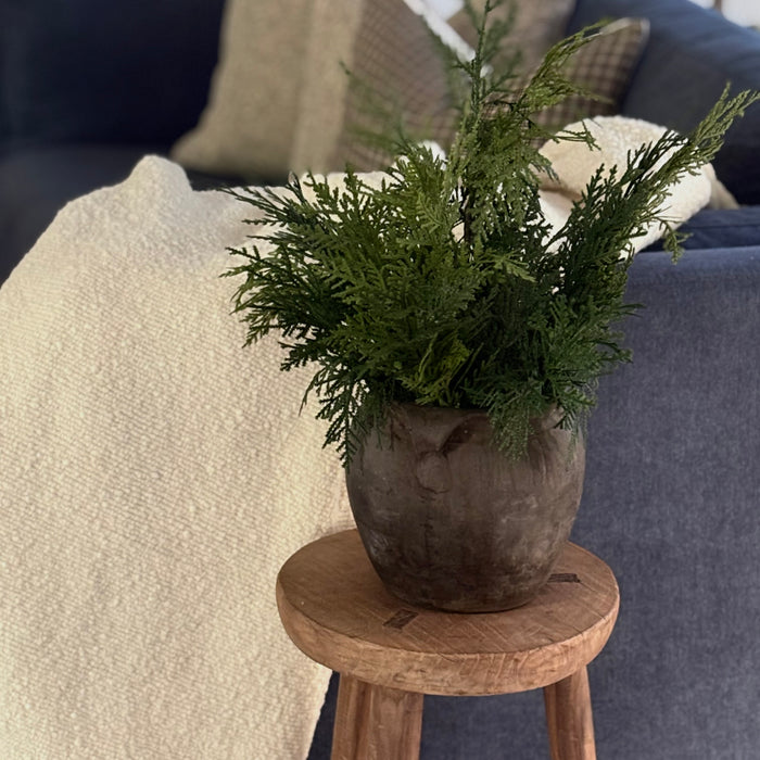 Fresh Touch Northorn White Cedar Tree