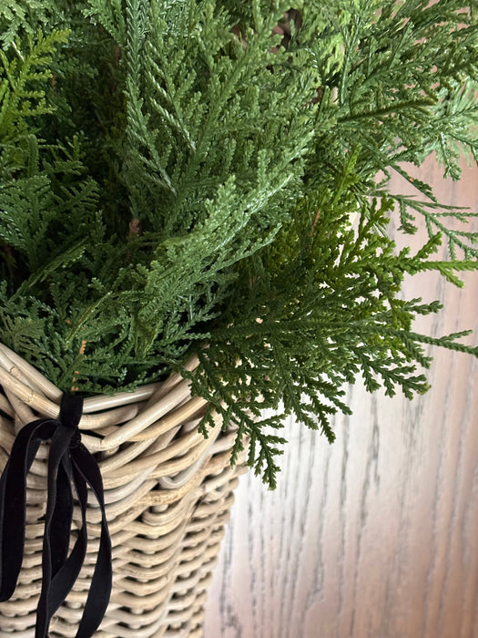 Fresh Touch Northern White Cedar Spray