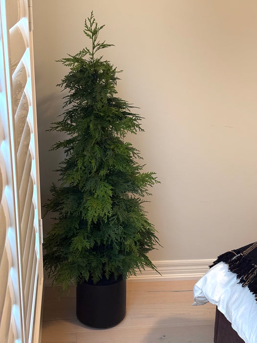 Fresh Touch Northorn White Cedar Tree | 48"