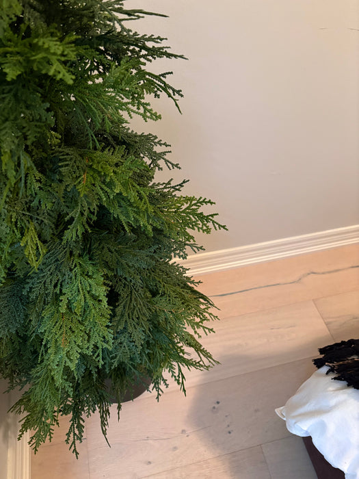 Fresh Touch Northorn White Cedar Tree | 48"