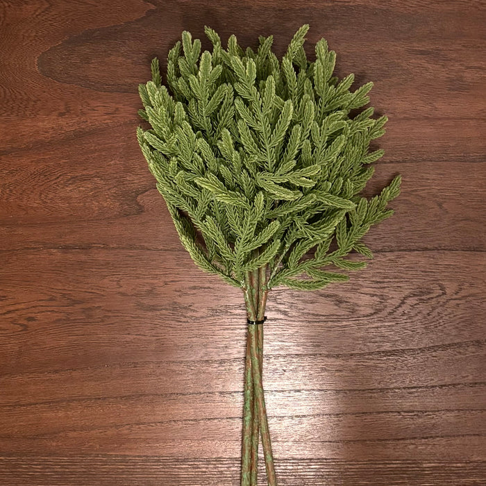 Fresh Touch Baby Norfolk Pine Bundle