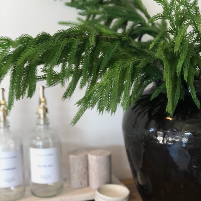 Fresh Touch Norfolk Pine Spray