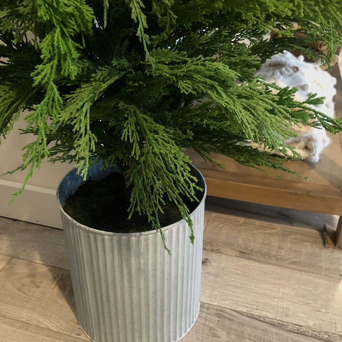 Fresh Touch Wispy Cedar Potted Tree