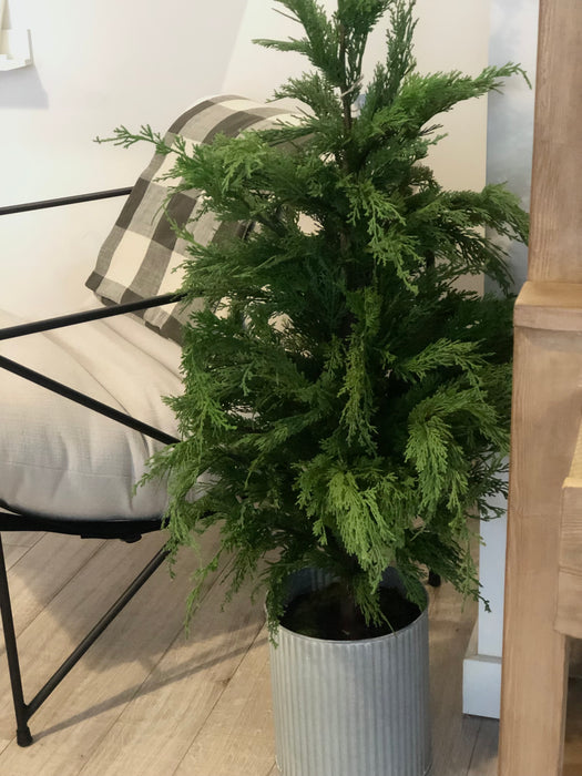 Fresh Touch Wispy Cedar Potted Tree