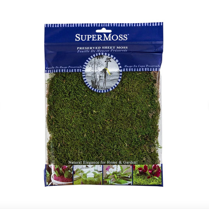 Preserved Sheet Moss