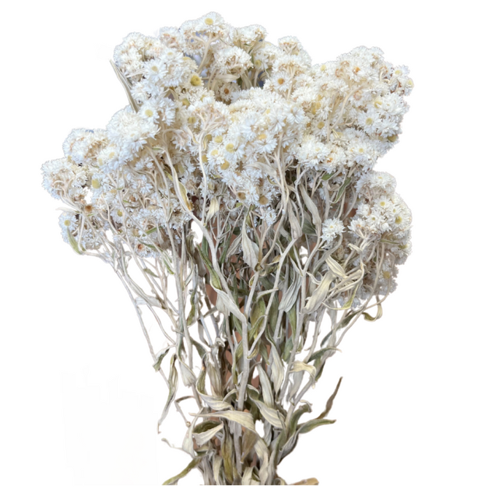 Senduro Flower Bundle