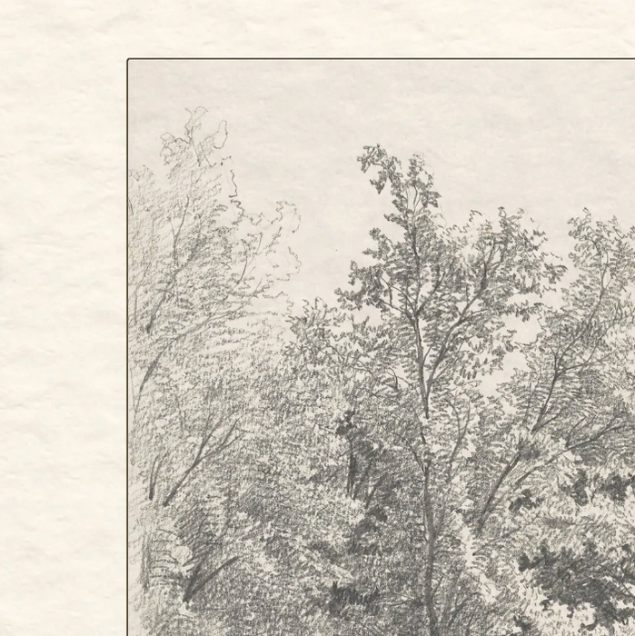 Serene Countryside  | Fine Art Print