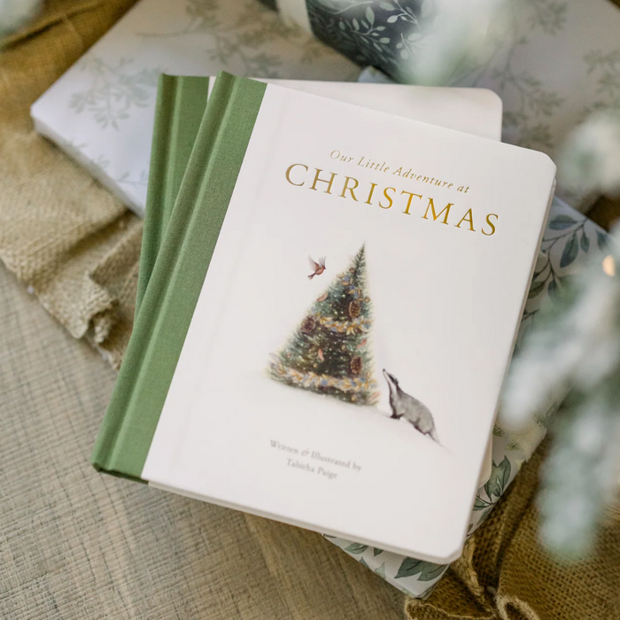 Our Little Adventure at Christmas