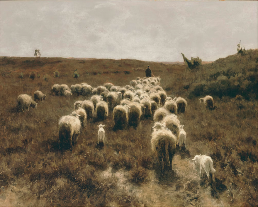 Flock | Fine Art Print