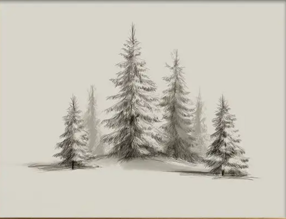 Cedar & Snow Print