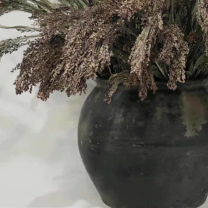 Botanicals