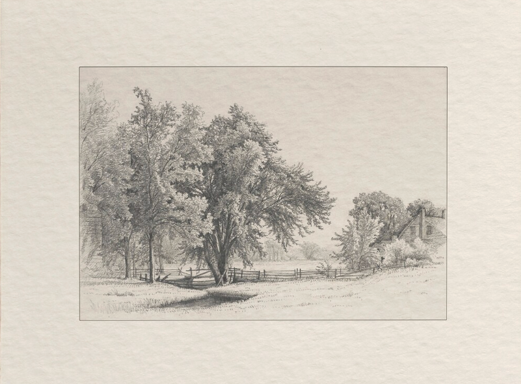 Serene Countryside  | Fine Art Print