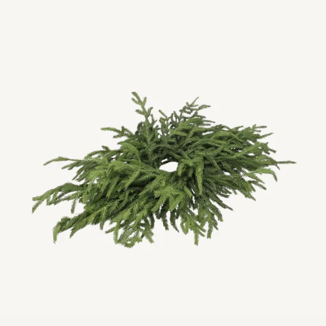 Fresh Touch Norfolk Pine Wreath | 20"