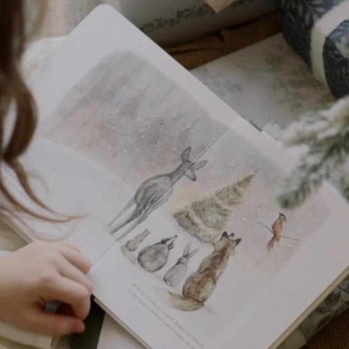 Our Little Adventure at Christmas