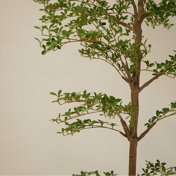 Faux Shady Lady Tree | PRE ORDER