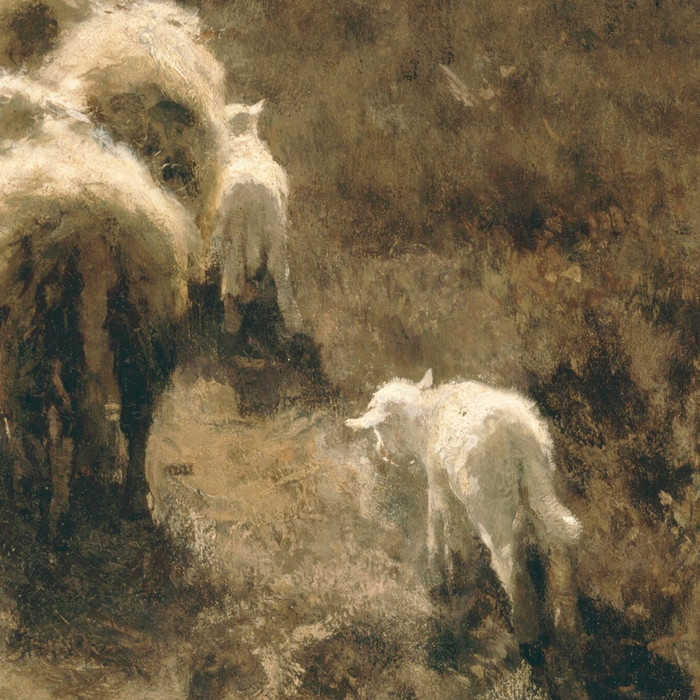 Flock | Fine Art Print