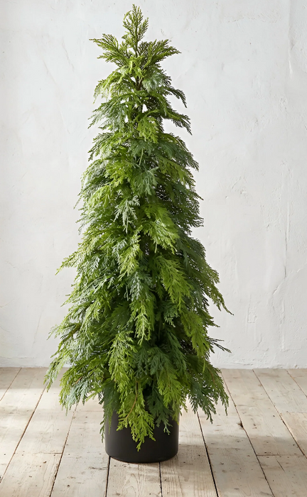 Fresh Touch Northorn White Cedar Tree | 48"